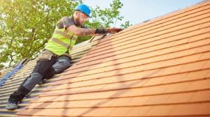 Best Roof Maintenance and Cleaning  in North Oaks, MN